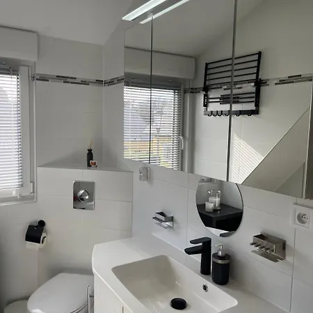 Villa Modern House Close To Basel, Freiburg, Mulhouse, Europa-park *