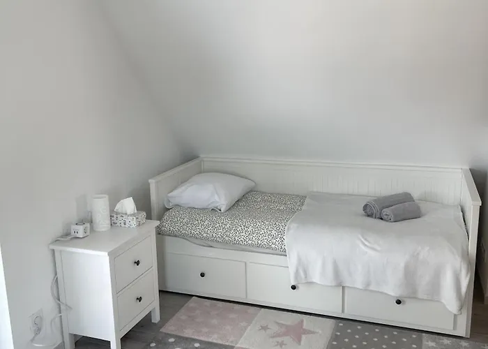 Modern House Close To Basel, Freiburg, Mulhouse, Europa-park Chalampe